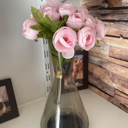 Escapade Poitevine - Maison Climatisee Avec 3 Ch - 4 Min Futuroscope Et Aquascope Апартаменты *