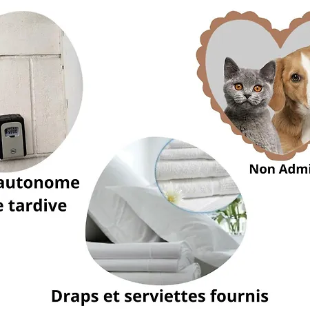 Apartment Escapade Poitevine - Maison Climatisee Avec 3 Ch - 4 Min Futuroscope Et Aquascope